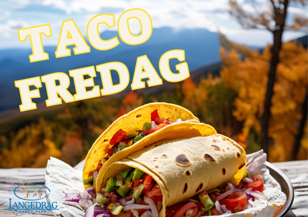 Taco Fredag